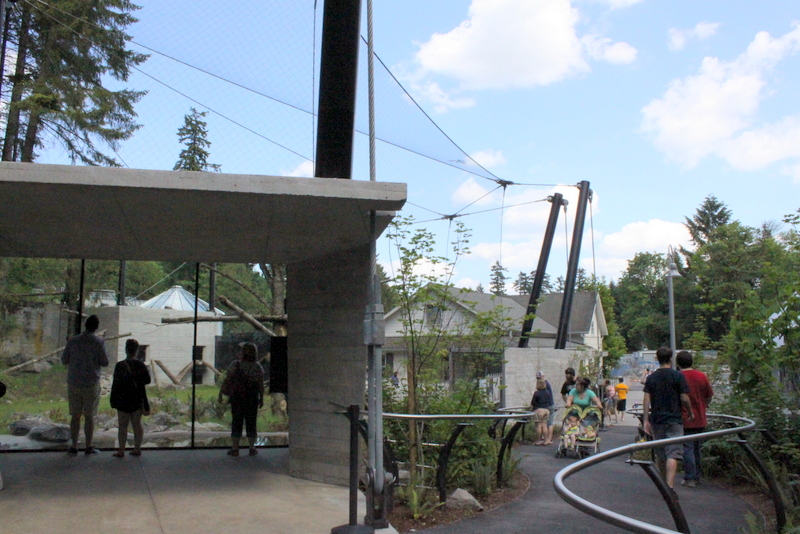 Condors of the Columbia