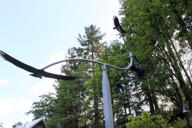 Condors of the Columbia