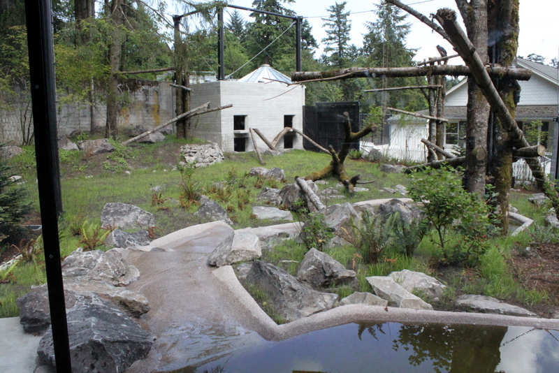Condors of the Columbia