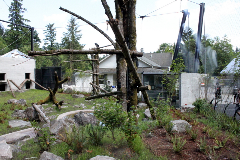 Condors of the Columbia