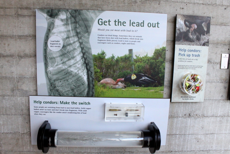 Condors of the Columbia