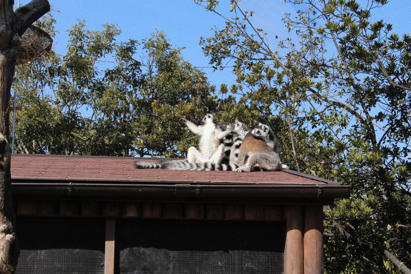 Conducting in the sunlight