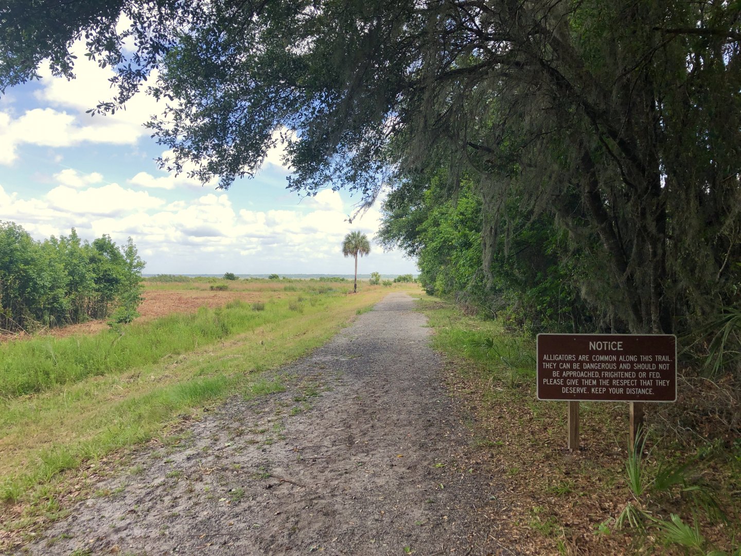 Cones Dike Trail Entrance