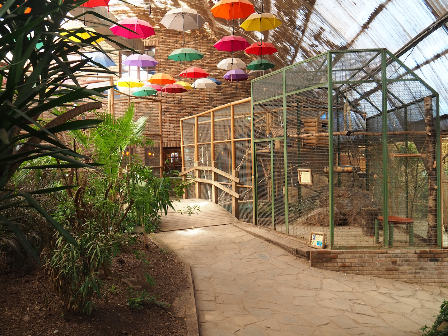 Congo African grey parrot and Violet turaco aviaries, 2023-05-19