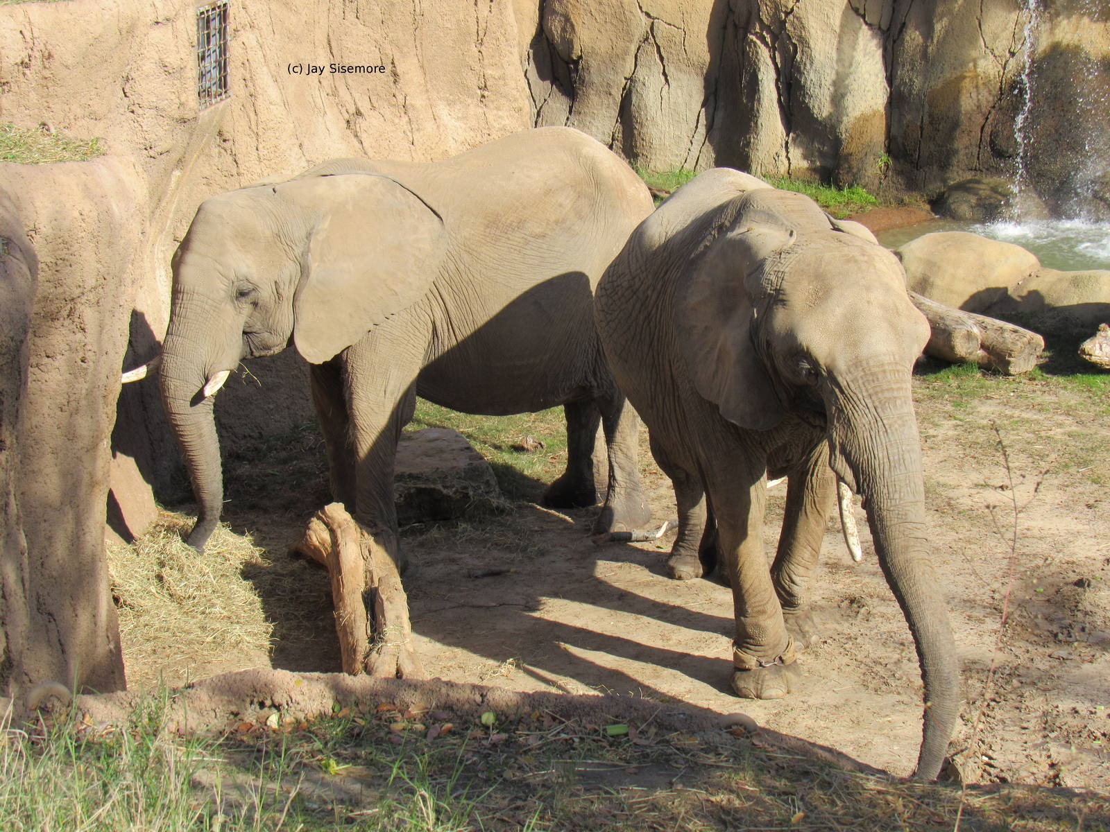 Congo and Kamba? I think