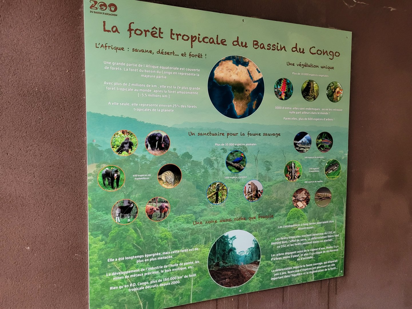 Congo bassin sign -Zoo du bassin d'Arcachon (2024)