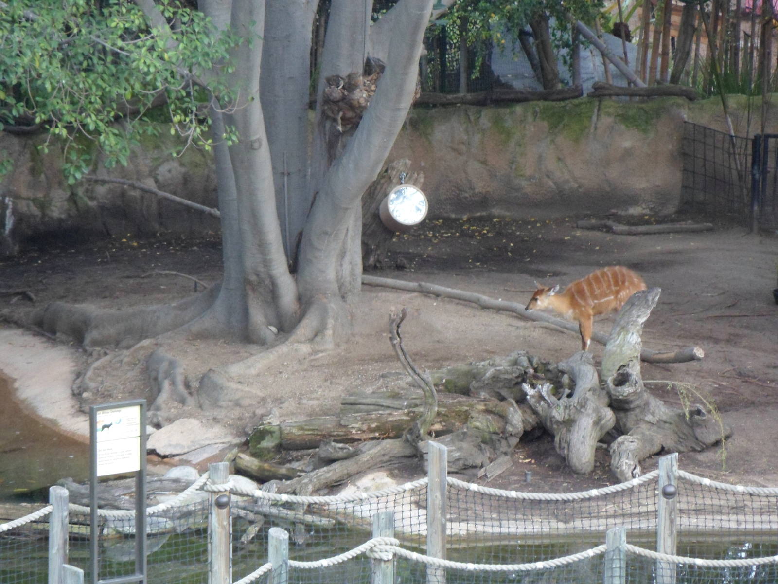 Congo Fishing Village Sititunga