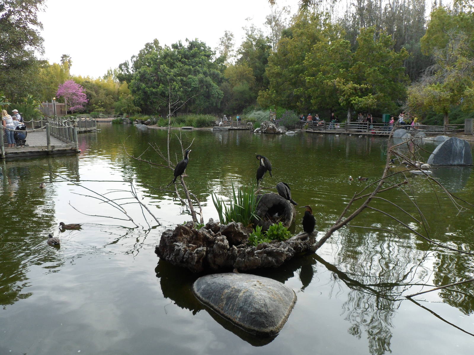 Congo Fishing Village