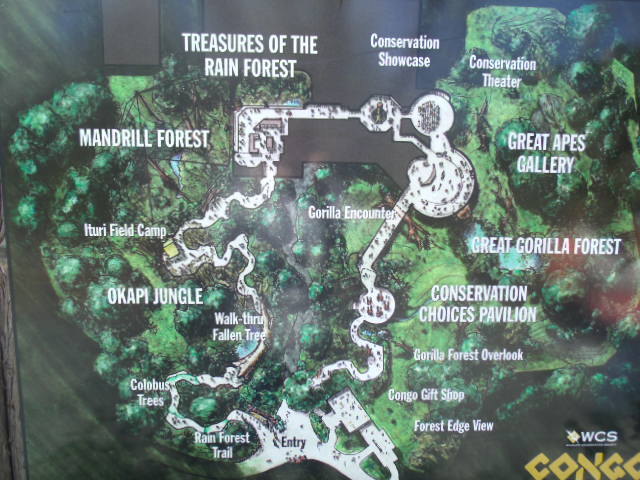 Congo Gorilla Forest Map