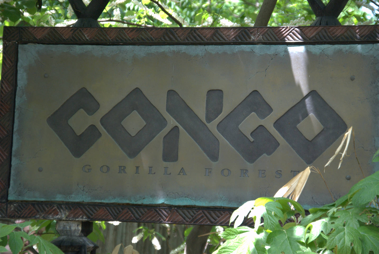Congo Gorilla Forest Sign