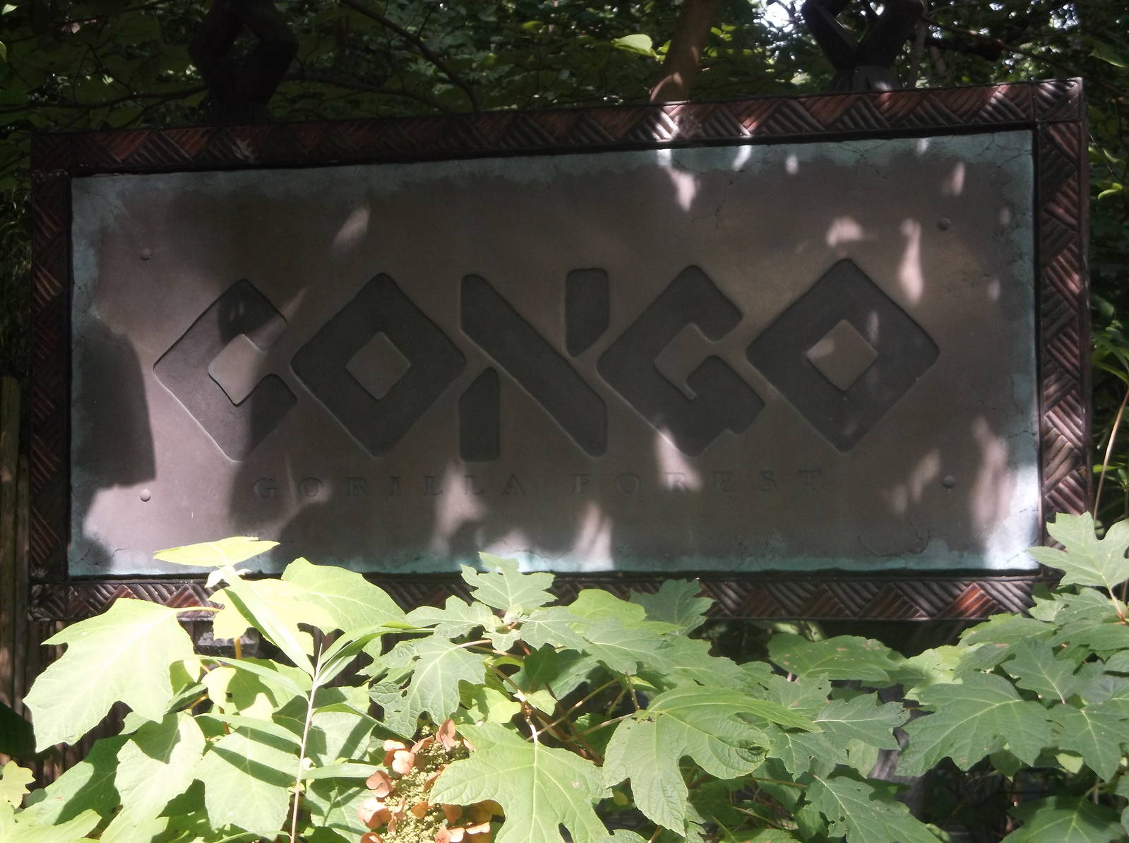 Congo Gorilla Forest Sign