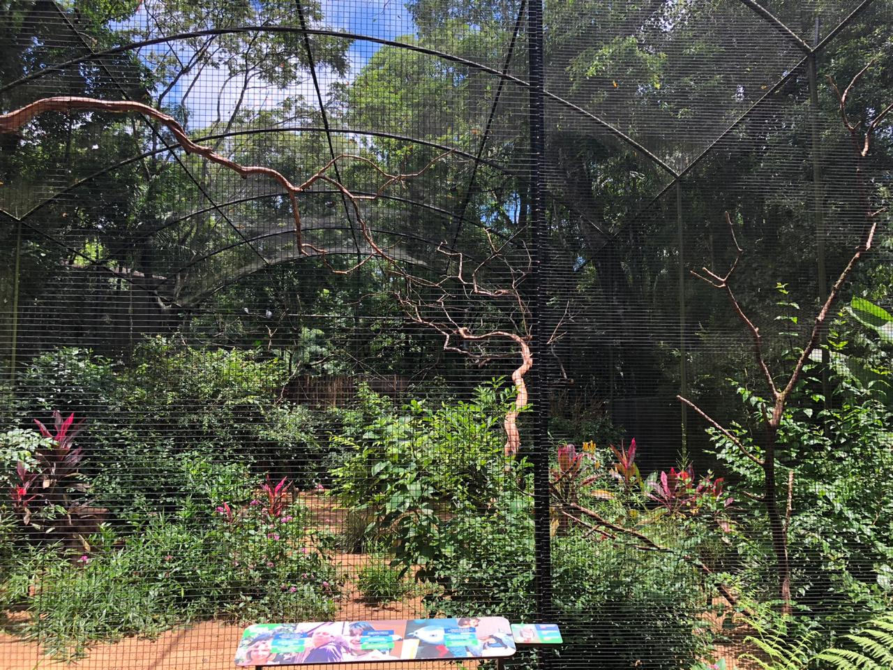 Congo gray parrot aviary - parque das aves