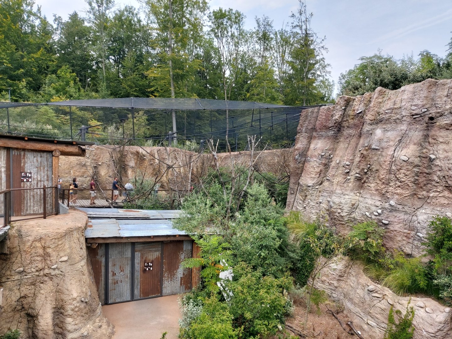 Congo grey parrot aviary in the background and rhino and giraffe house on the right - Lewa savanna