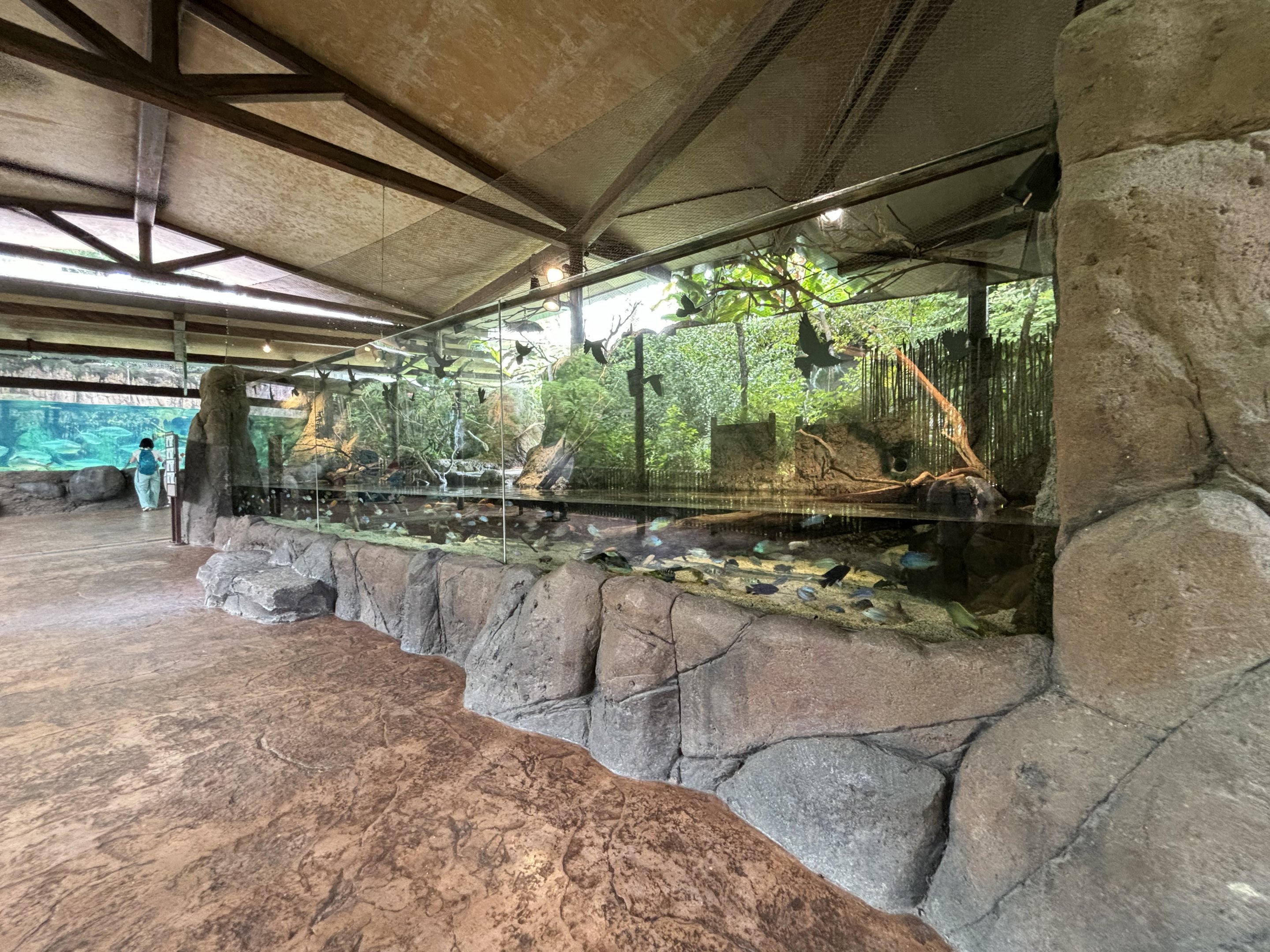 Congo River Tank
