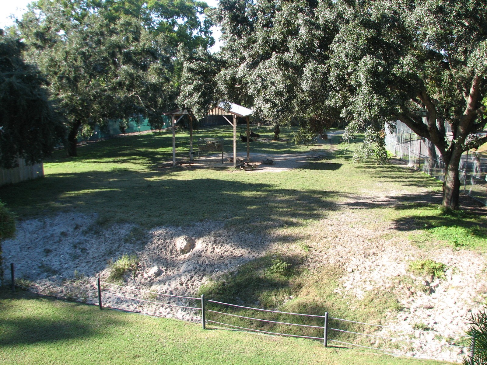 Congo - Sable Antelope Exhibit