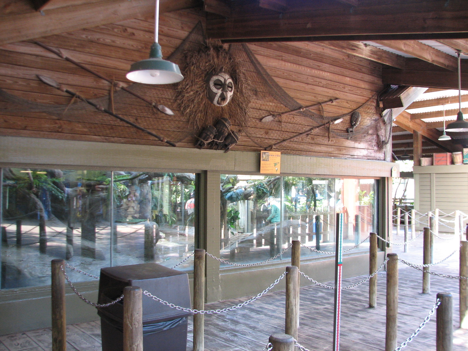 Congo - Squirrel Monkey Exhibit