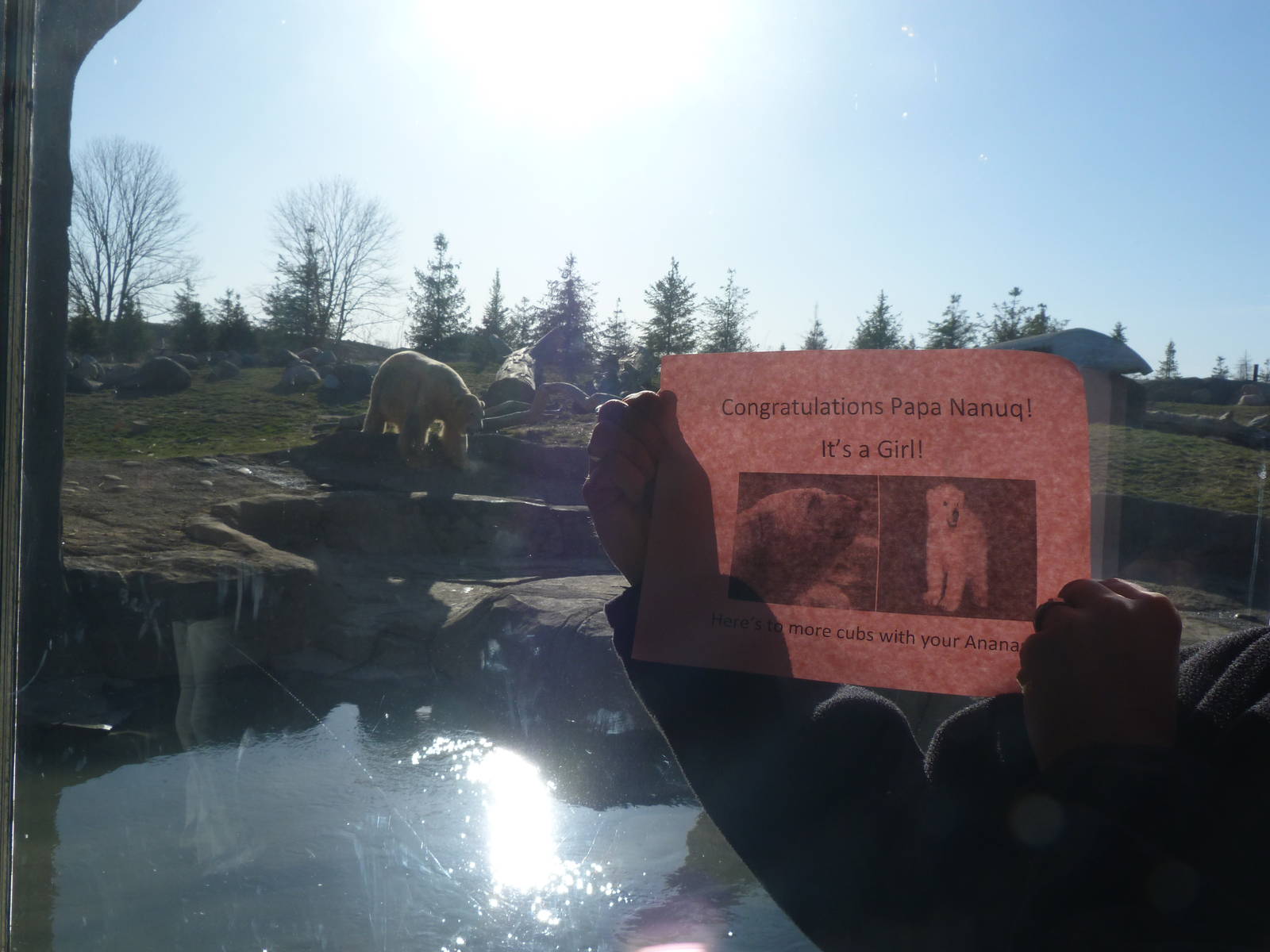 Congratulations Sign