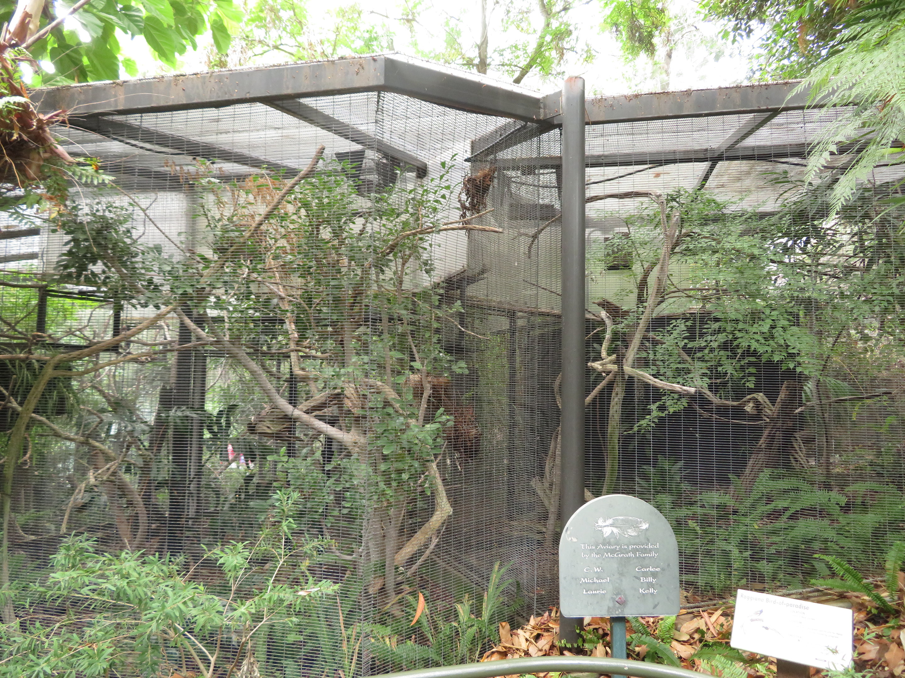 Connected Bird-of-Paradise Enclosures