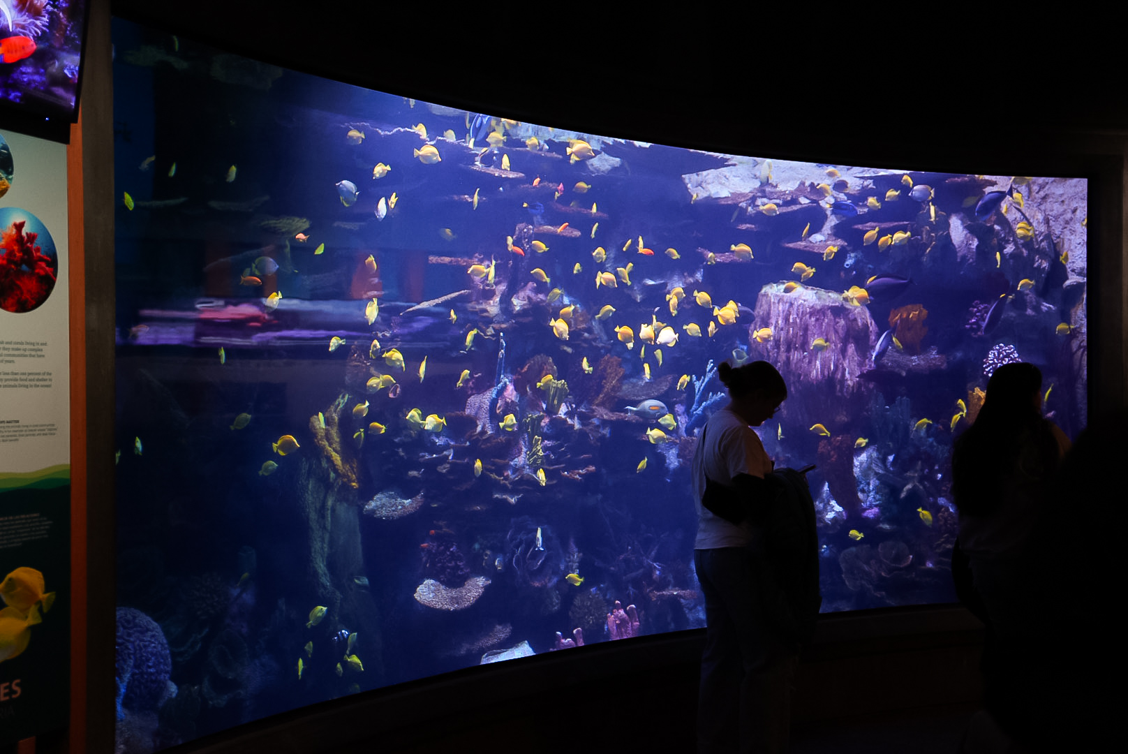 Connected Coasts Artificial Reef Tank