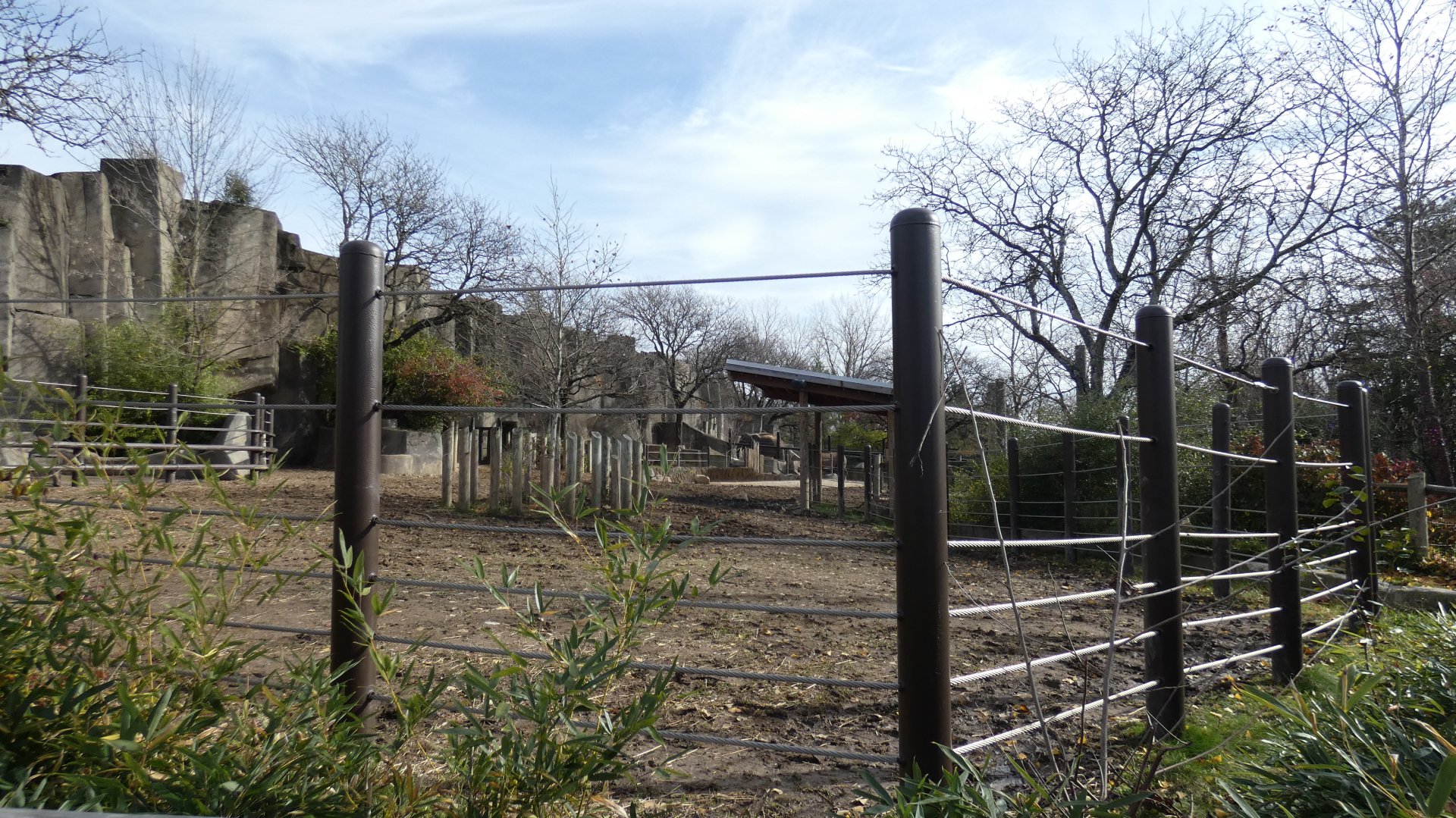 Connected/Somewhat Expanded Indian Rhinoceros Yards, Asia Quest - Nov. 2021