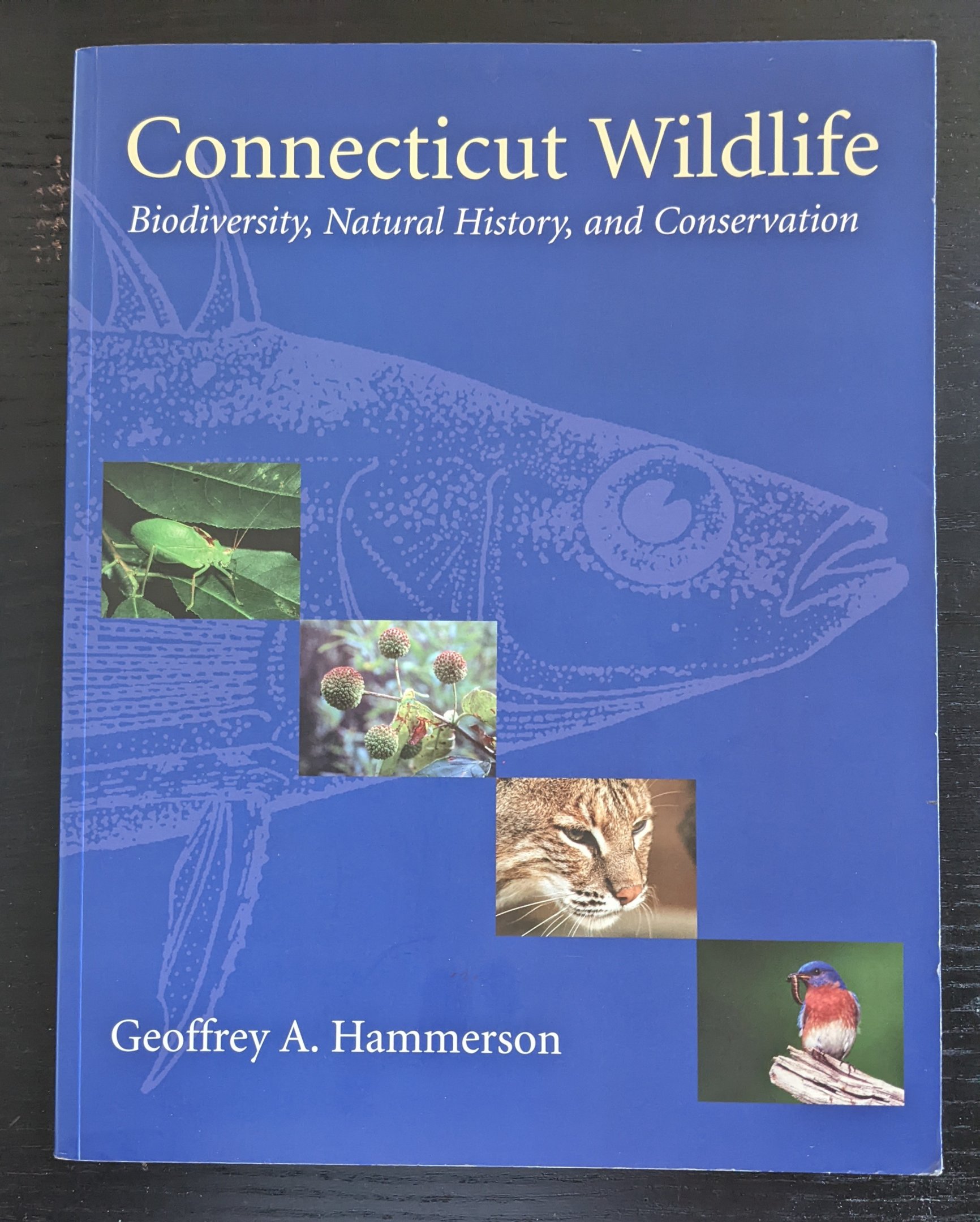 Connecticut Wildlife: Biodiversity, Natural History, and Conservation