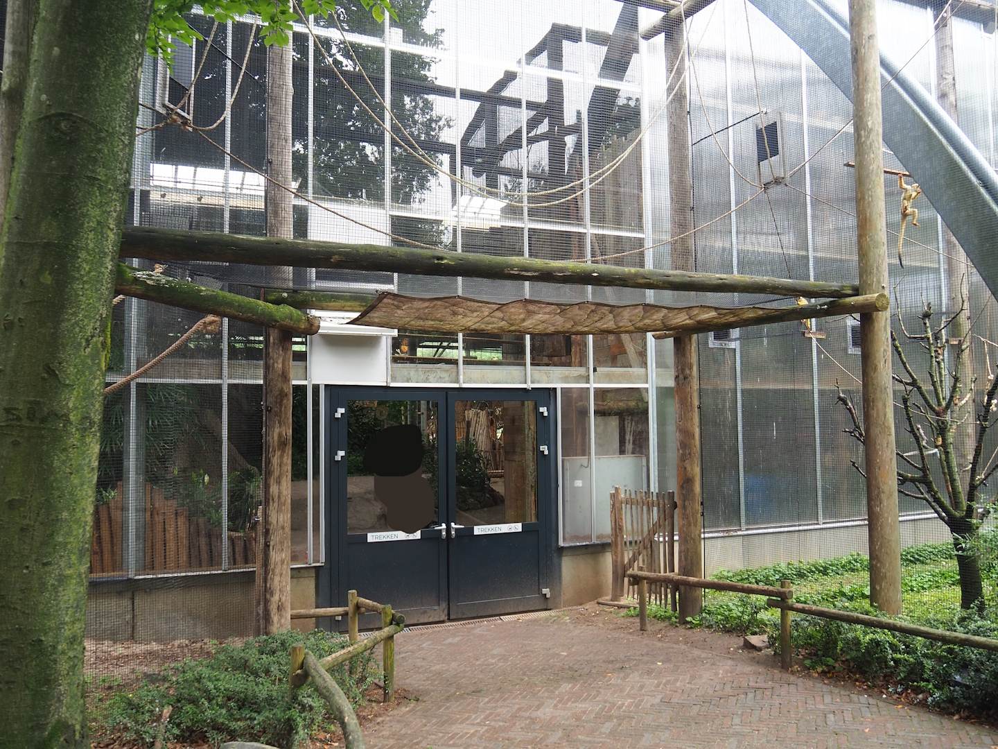 Connecting part of the Bolivian squirrel monkey exhibit, above entrance to RavotAapia indoor playground, 2023-08-17