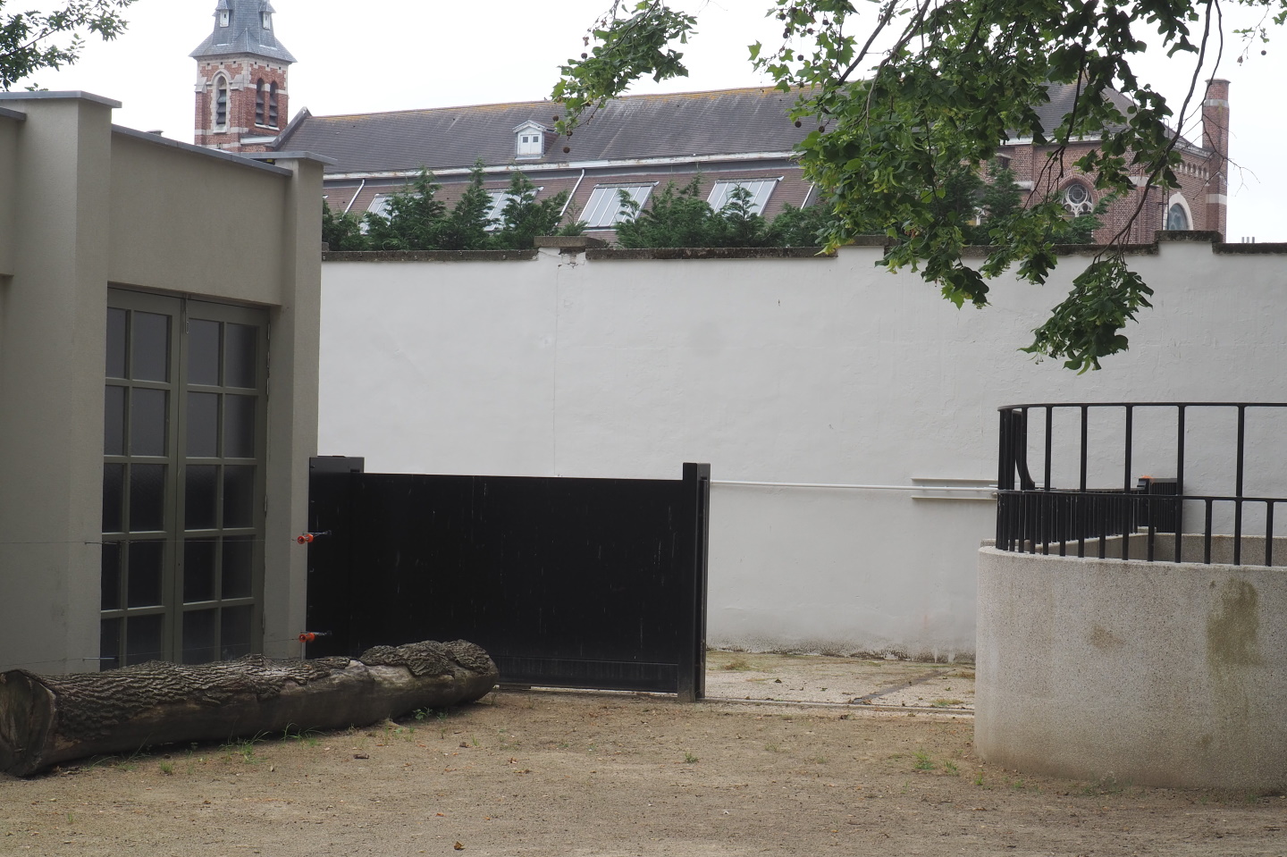 Connection between the Giraffe and Rhinoceros exhibits, 2021-06-12