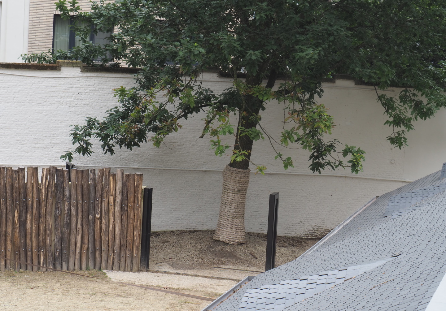 Connection between the Giraffe and Rhinoceros exhibits, 2021-06-12