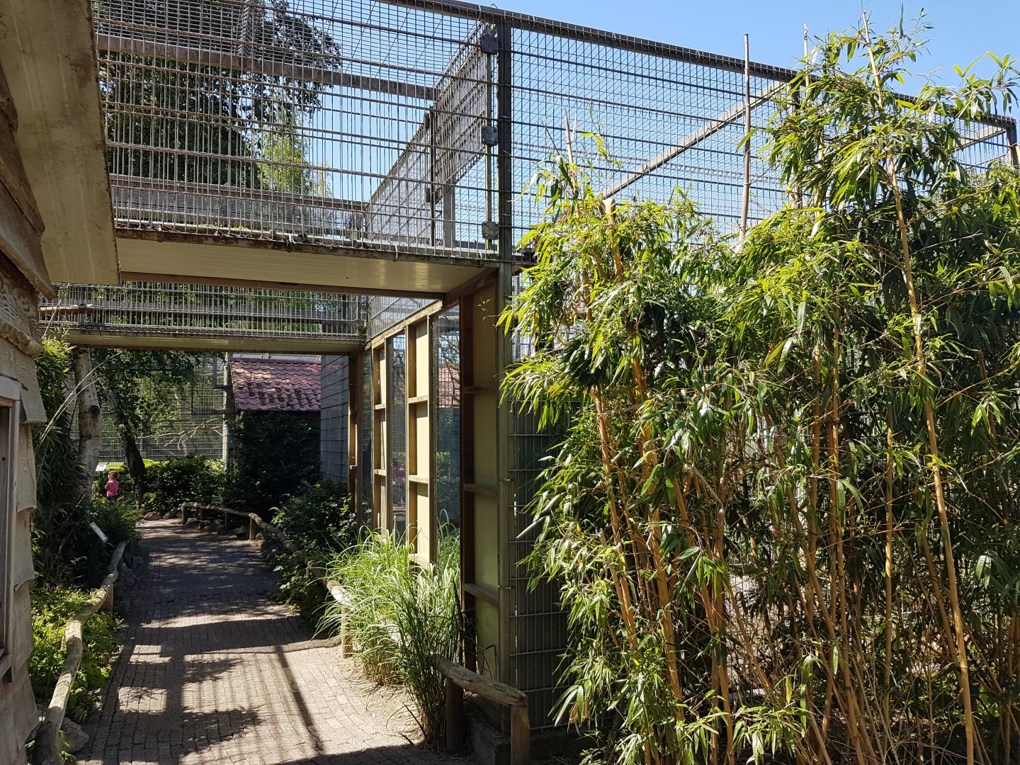 Connection Rhesus-indoor and outdoor-enclosure