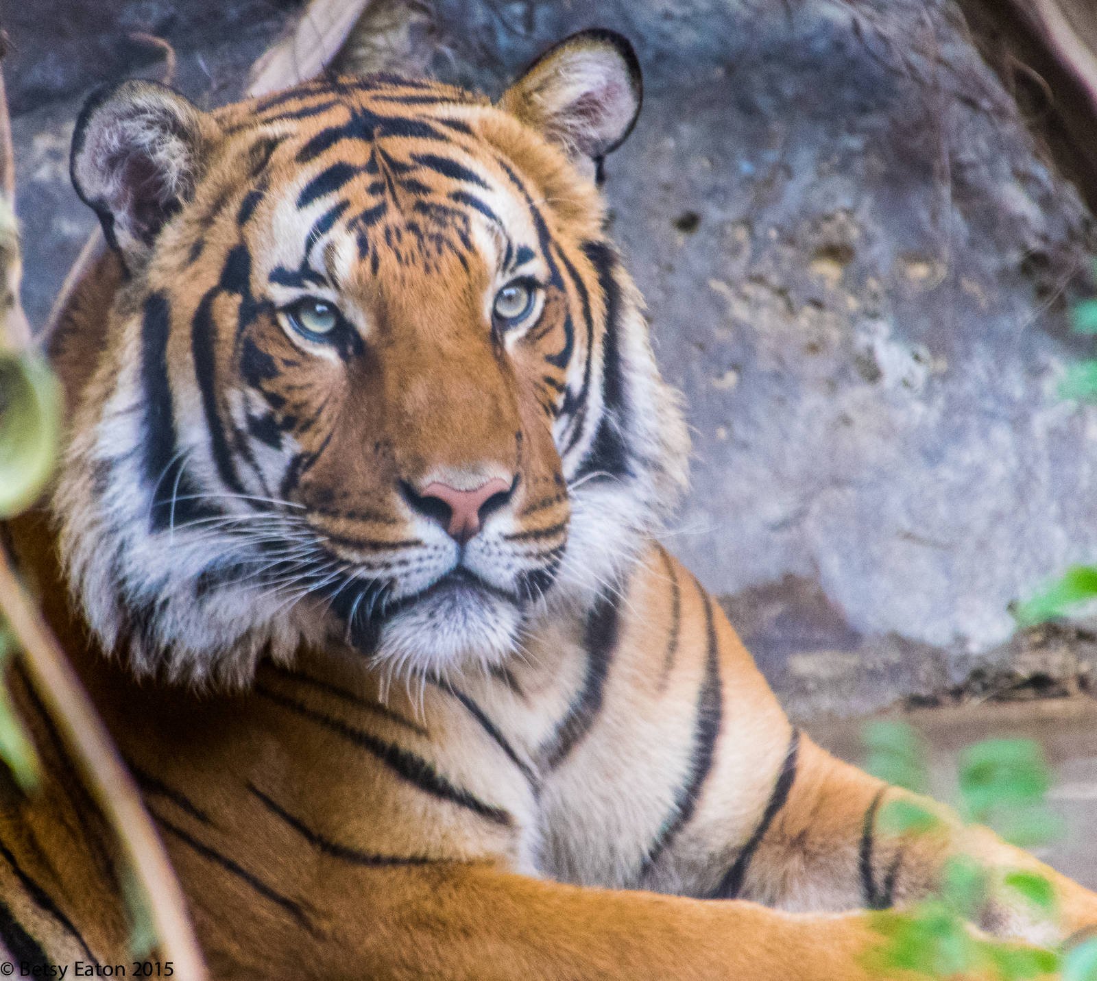 Connor in his temporary exhibit