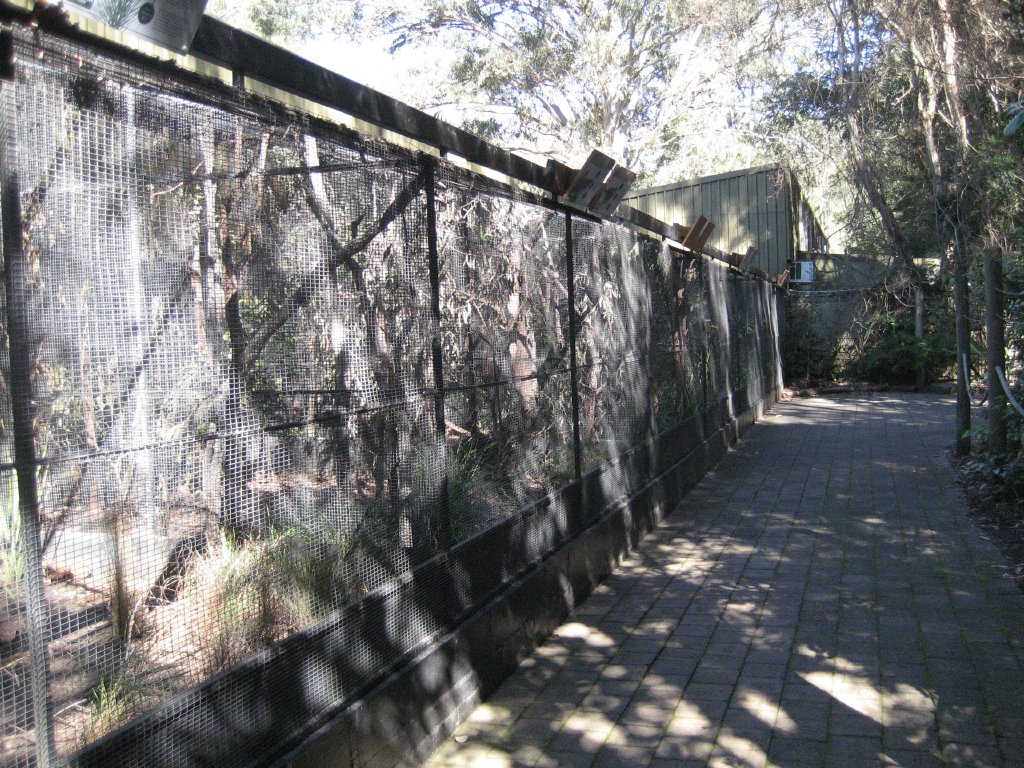 Conservation aviaries