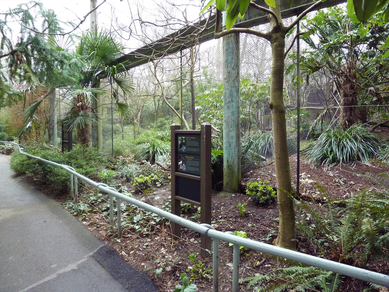 Conservation Aviaries