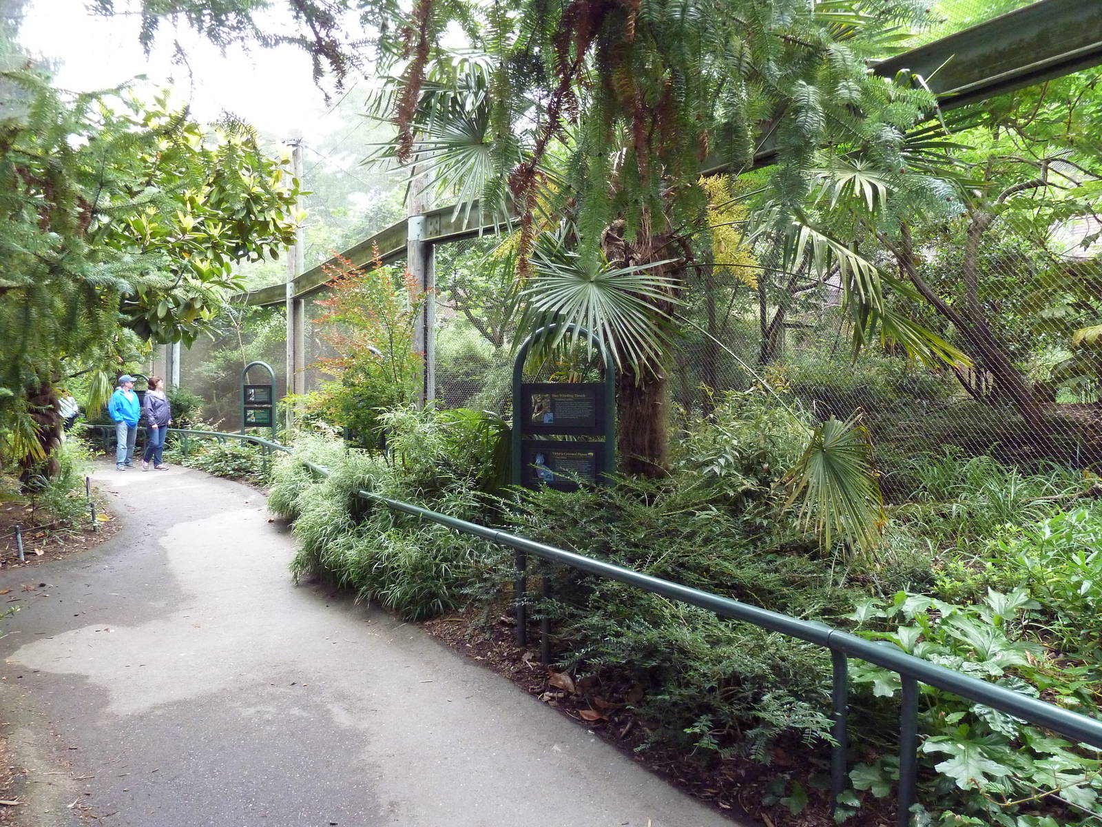 Conservation Aviaries