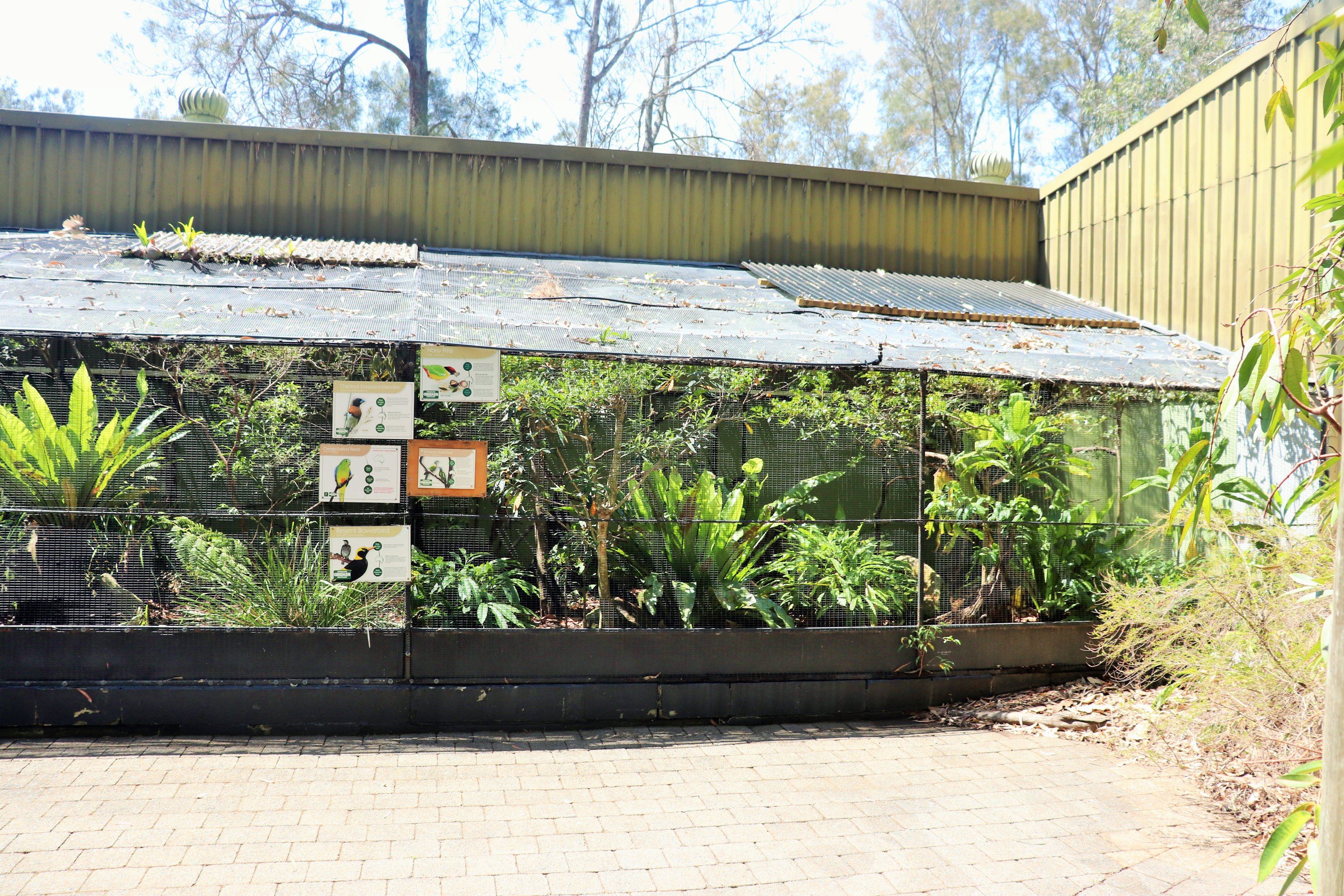 Conservation Aviaries