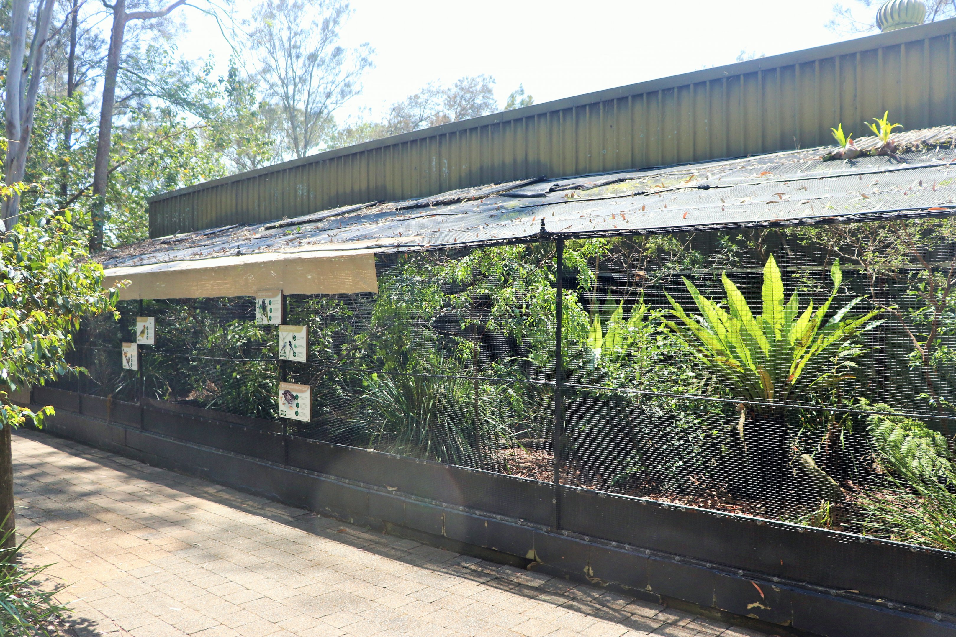 Conservation Aviaries