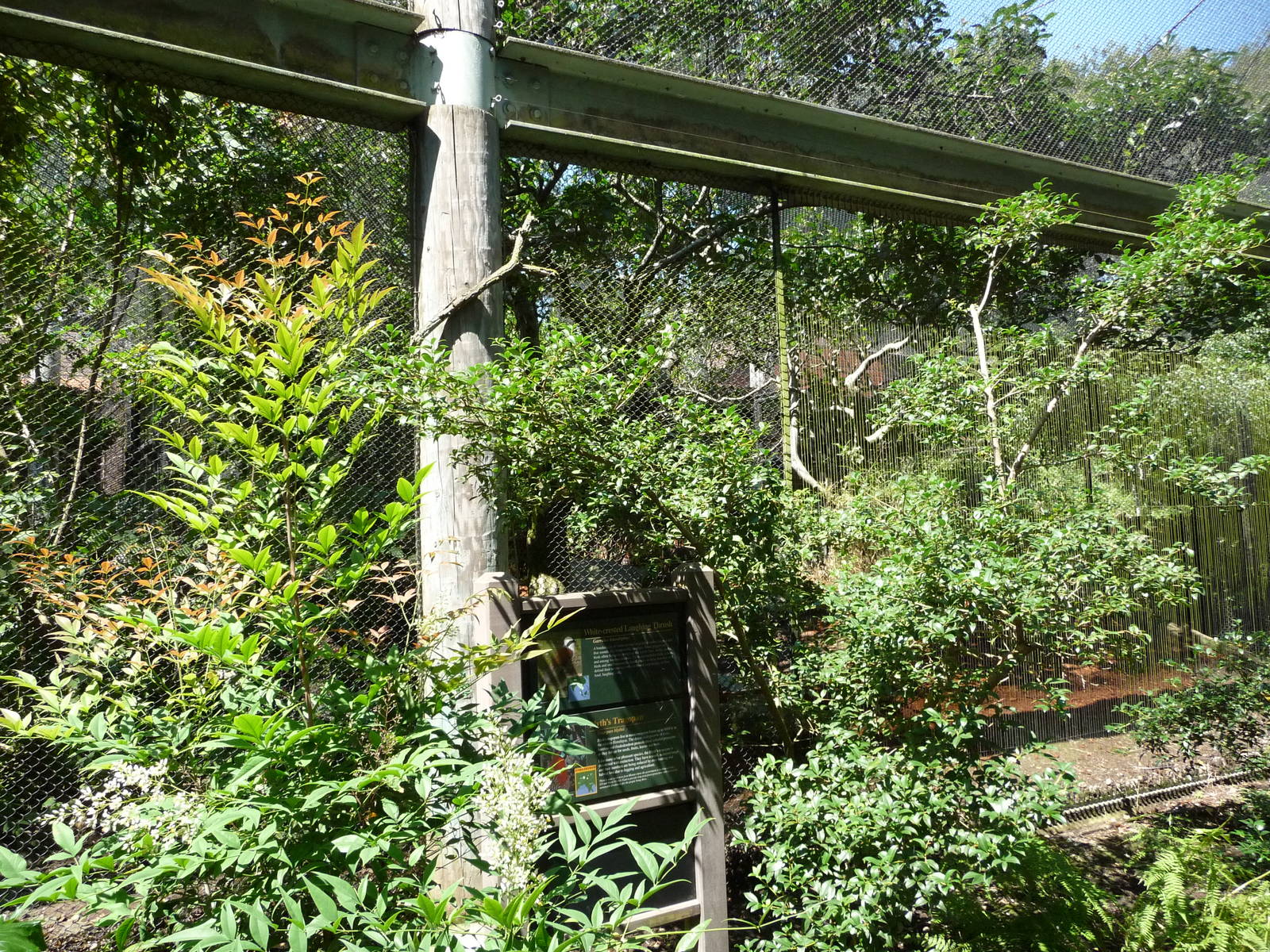 Conservation Aviary