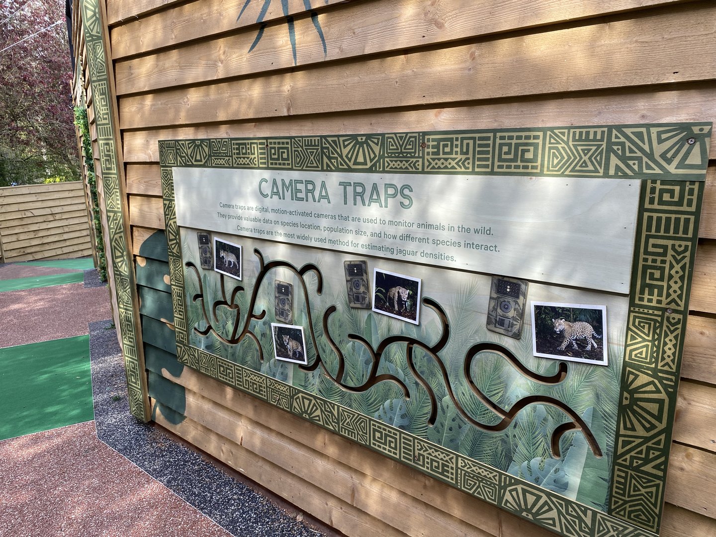 Conservation board jaguar enclosure PWP