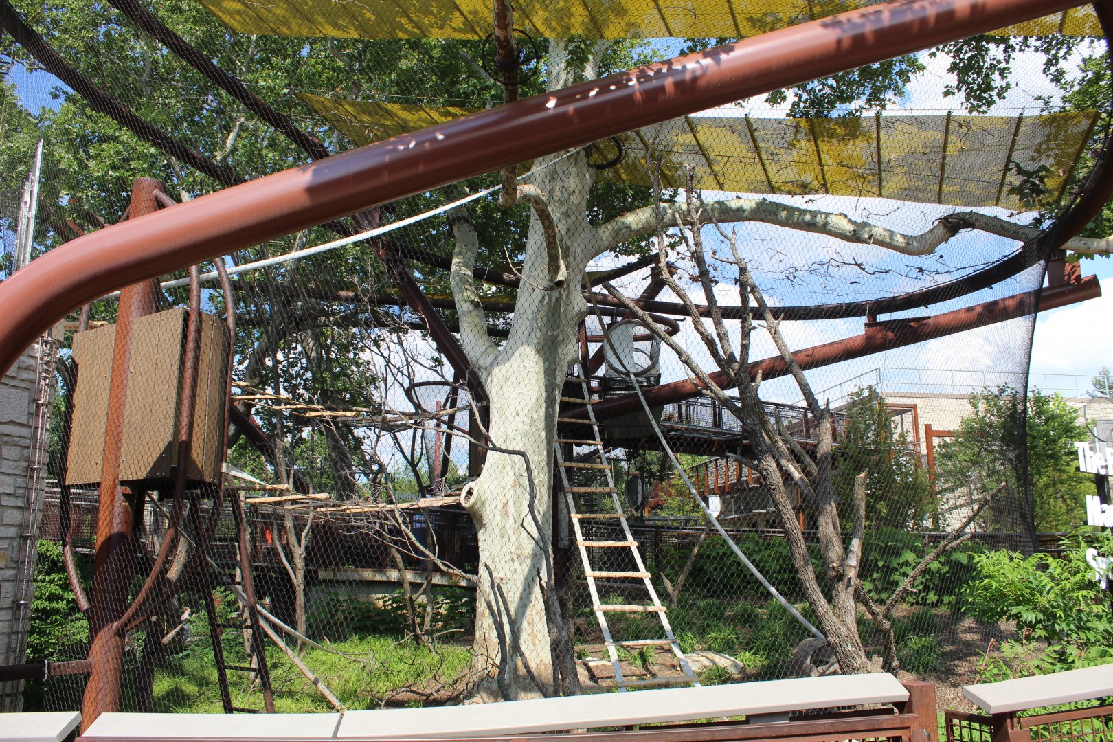 Conservation Canopy (Francois' Langur & Spectacled Langur) - Primate Canopy Trails