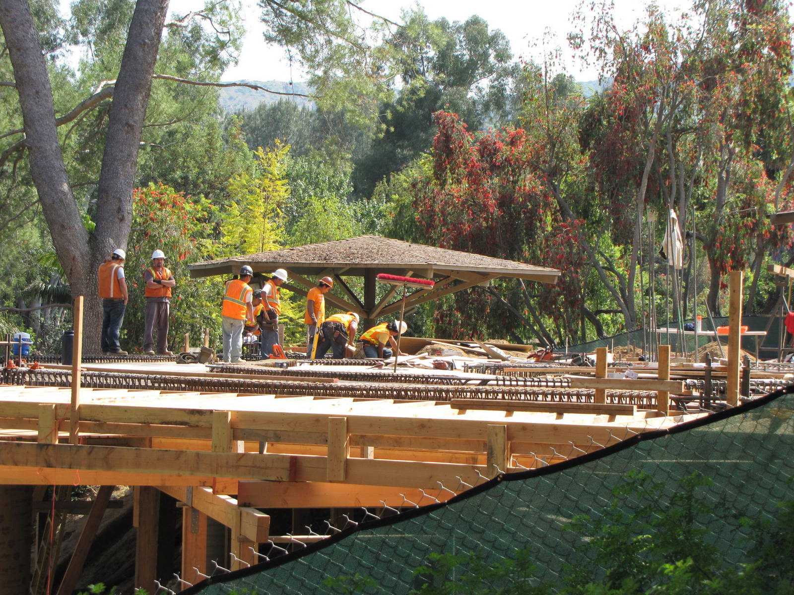 Conservation Carousel Construction