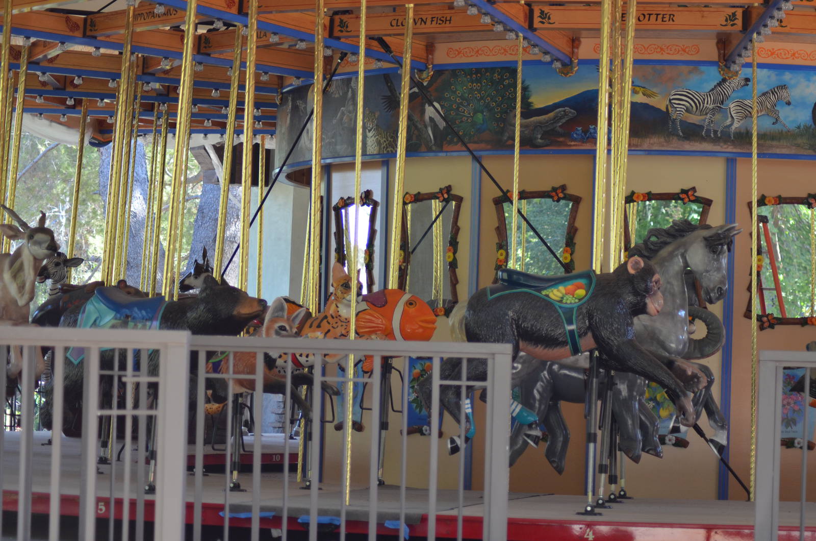 Conservation Carousel