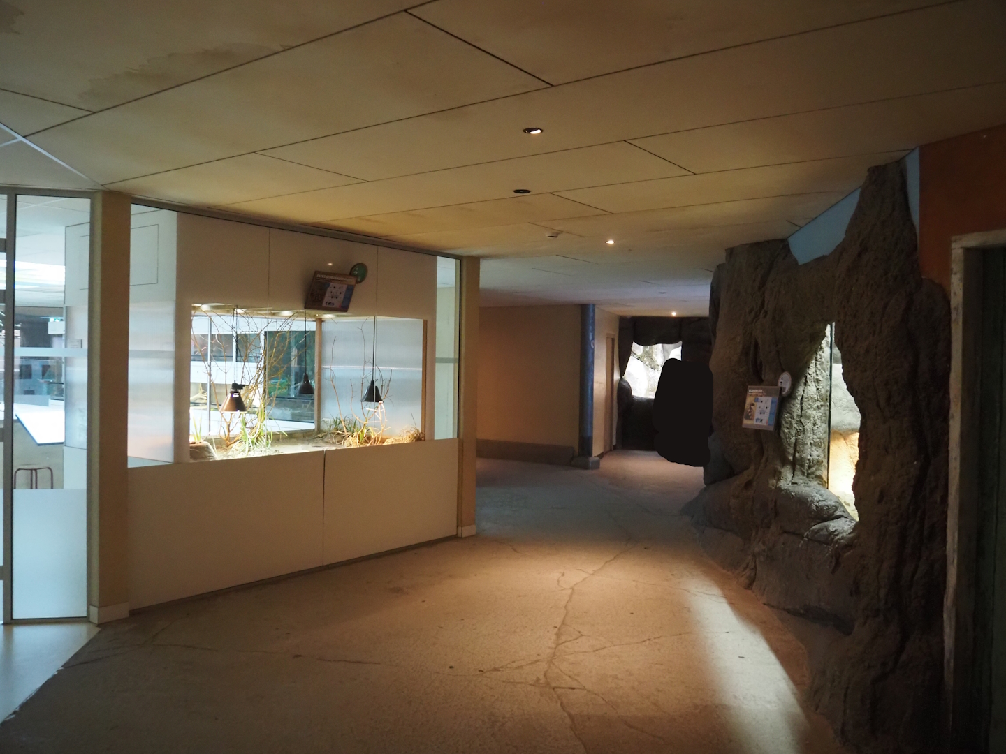 Conservation Center, 2024-06-30