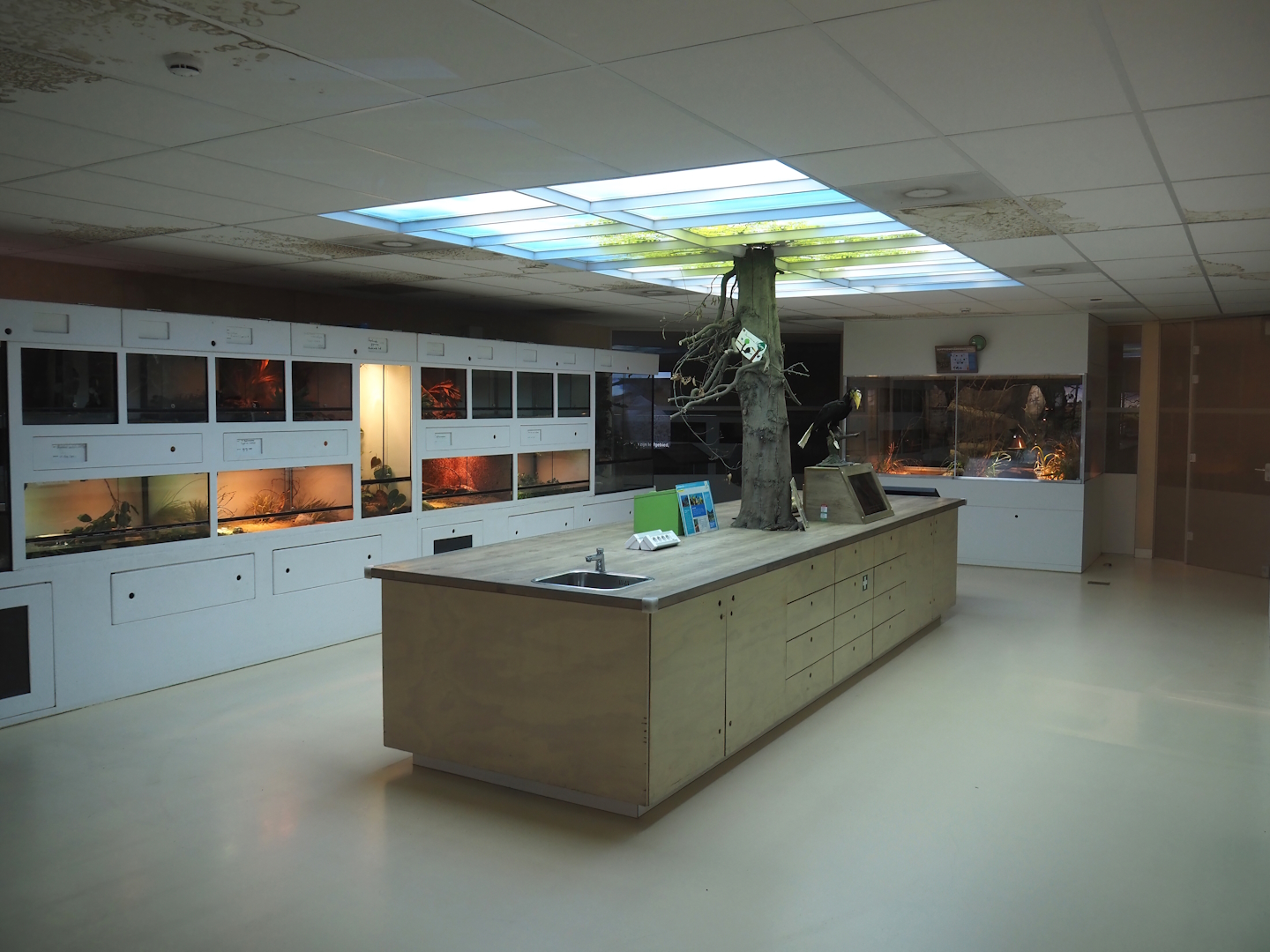 Conservation Center, 2024-06-30