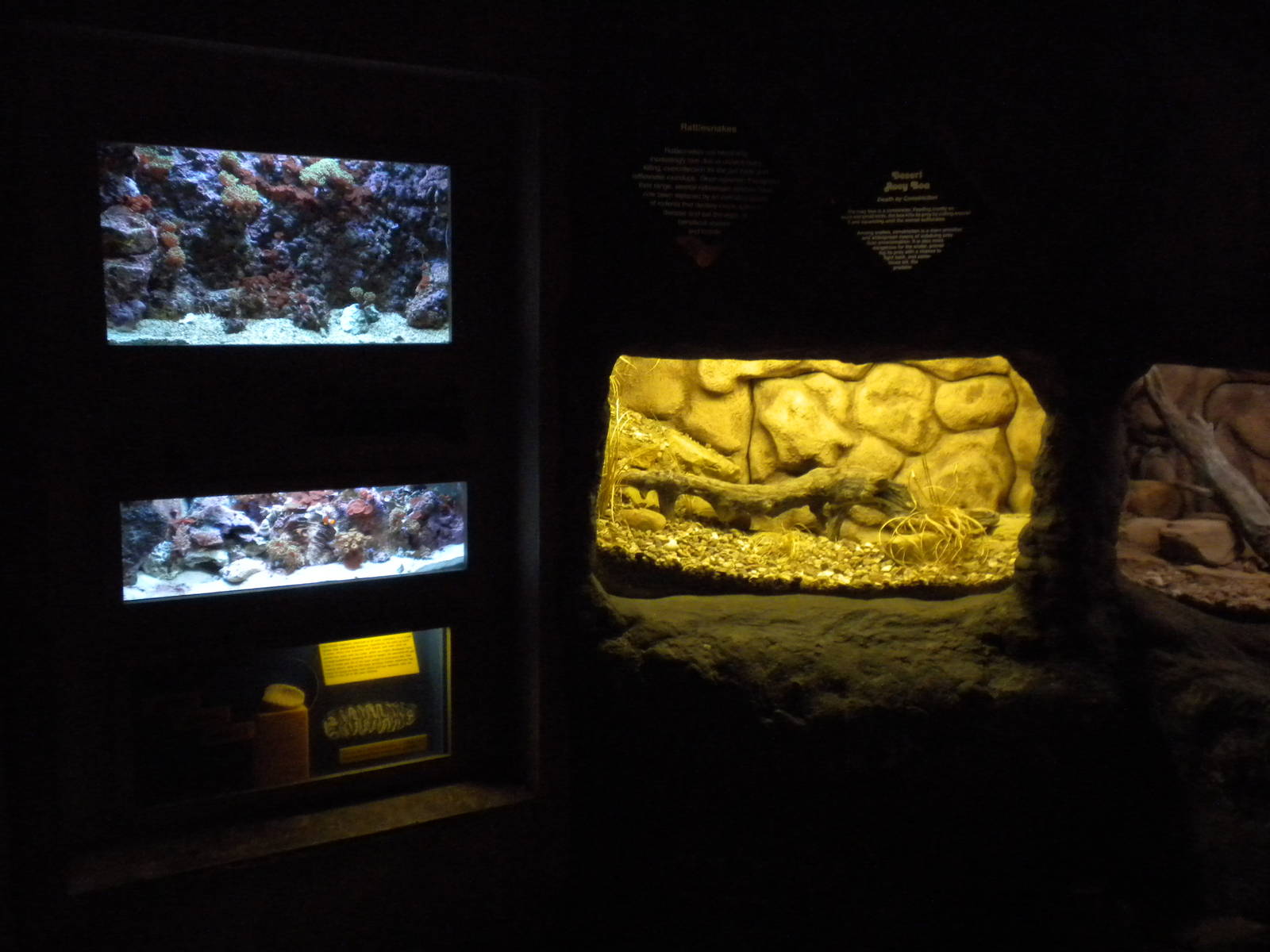 Conservation Center - Aquatic gallery