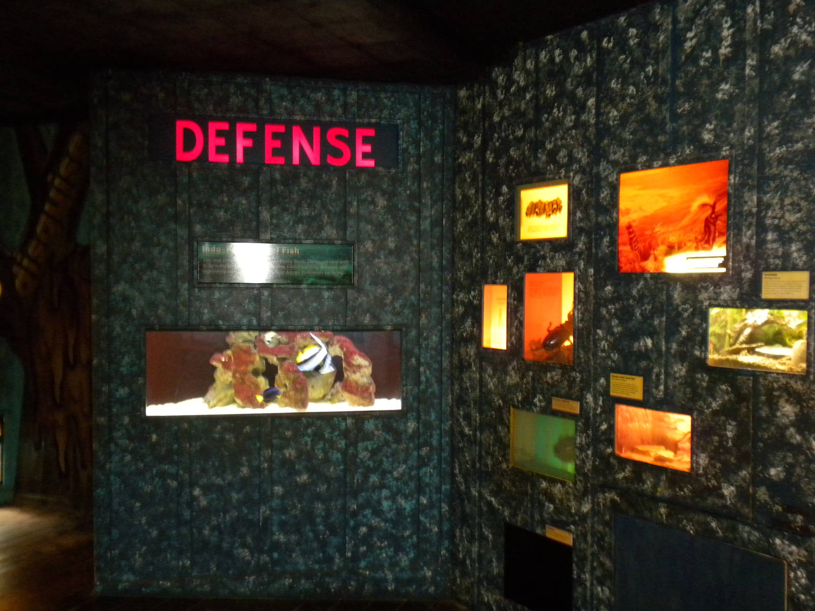 Conservation Center - Aquatic gallery