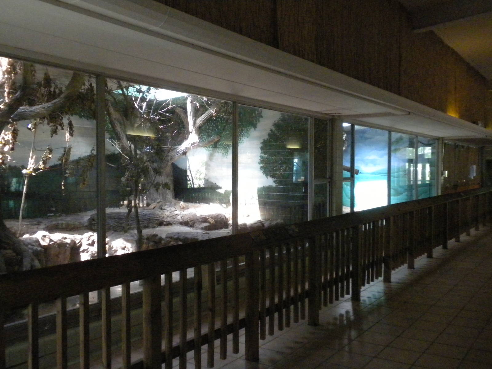 Conservation Center - aviaries