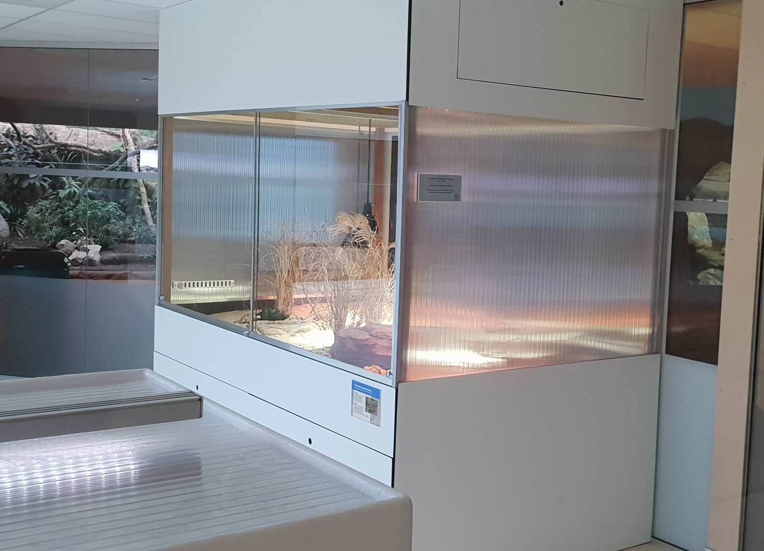 Conservation Center - Enclosure Egyptian tortoise