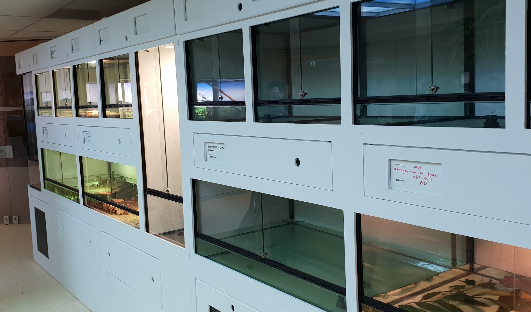 Conservation Center - Enclosures