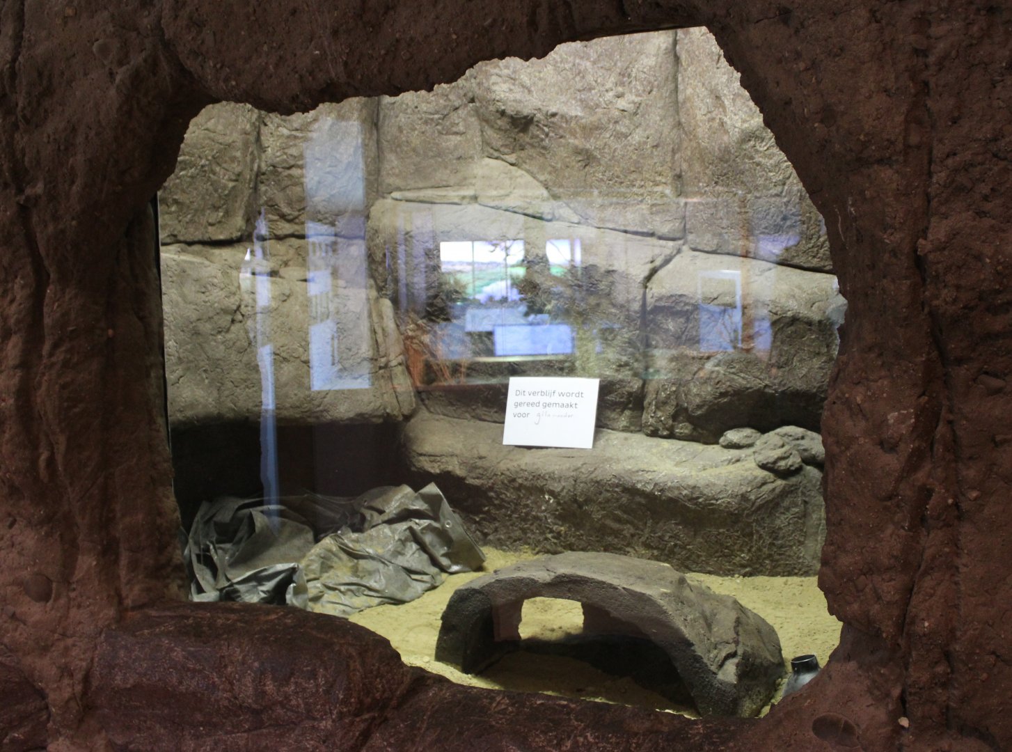 Conservation Center - Future enclosure Gila monster