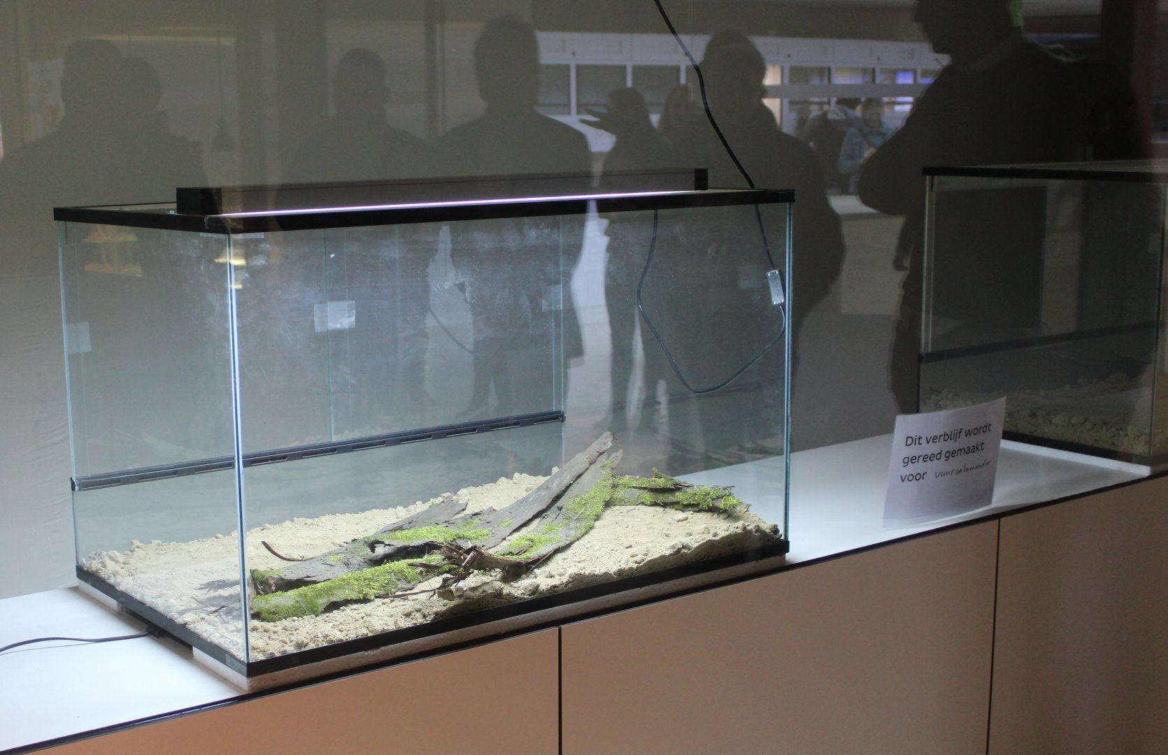 Conservation Center - Future enclosures Fire salamander