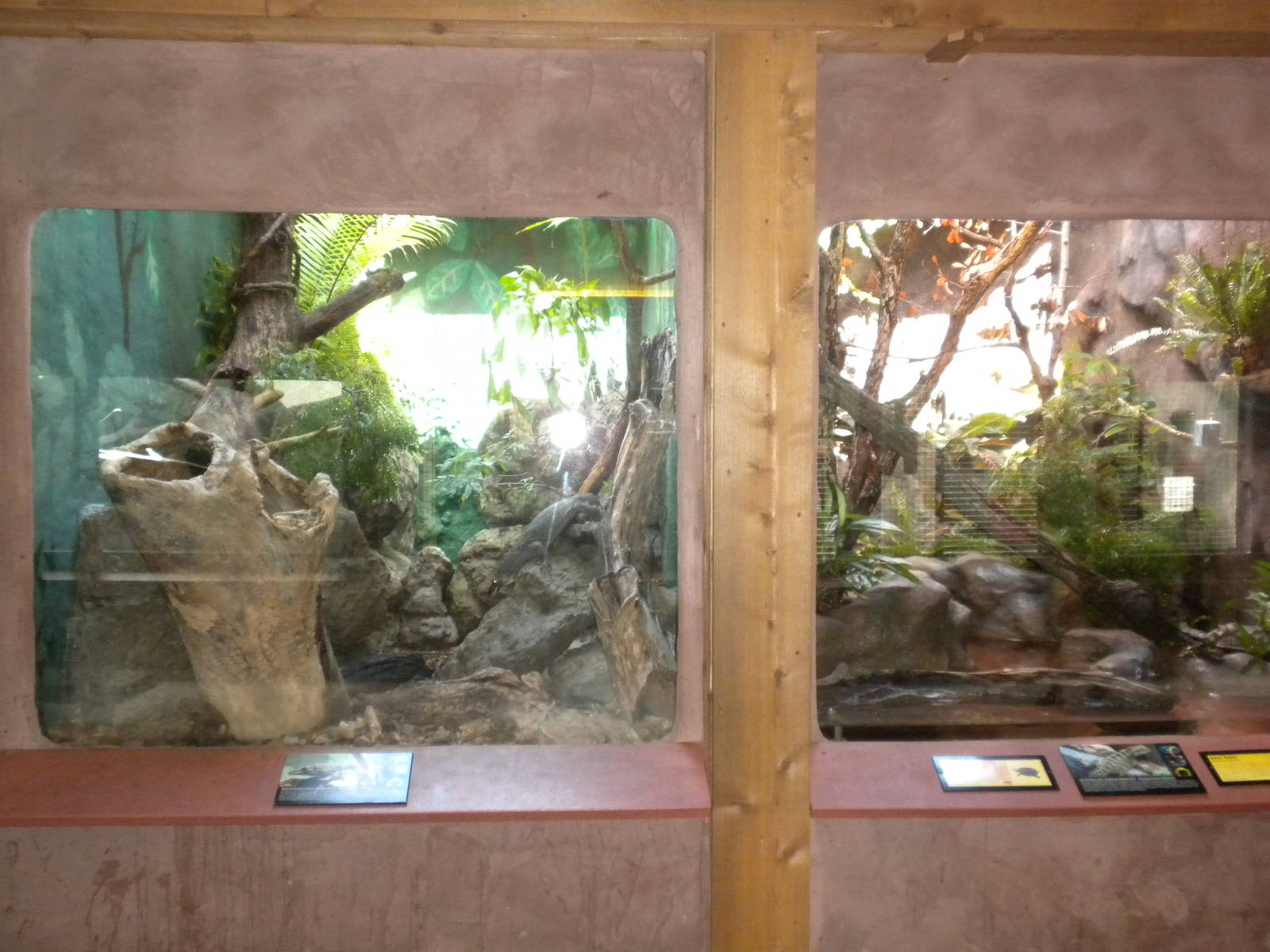 Conservation Center - Herp exhibits